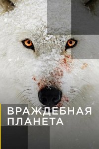 Враждебная планета 2019