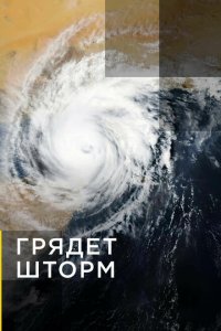 Грядет шторм 2020