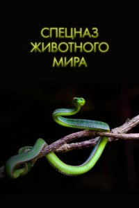 Спецназ животного мира 2018