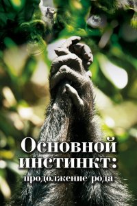 Основной инстинкт. Продолжение рода 2021