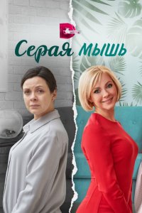 Серая мышь 2023
