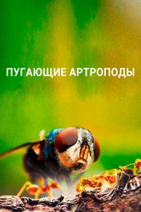 Пугающие артроподы 2021